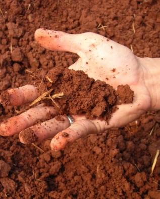 ручное определение состава почвы