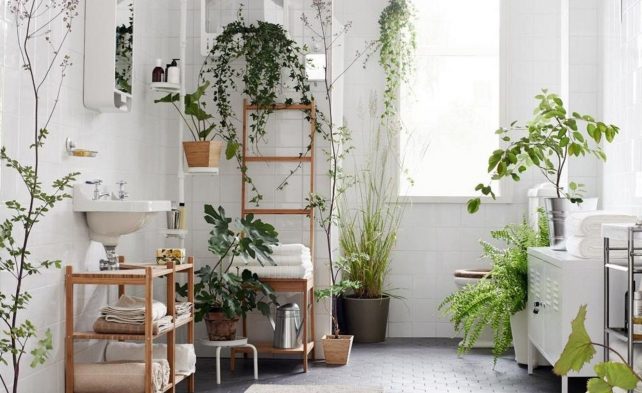 украшение ванной комнаты растениями