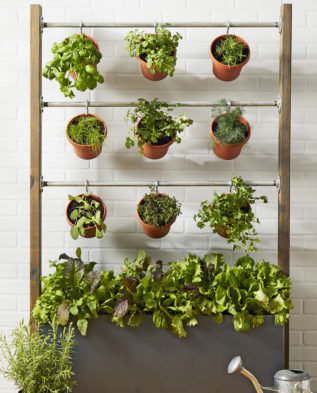 вертикальный сад комнатными растениями