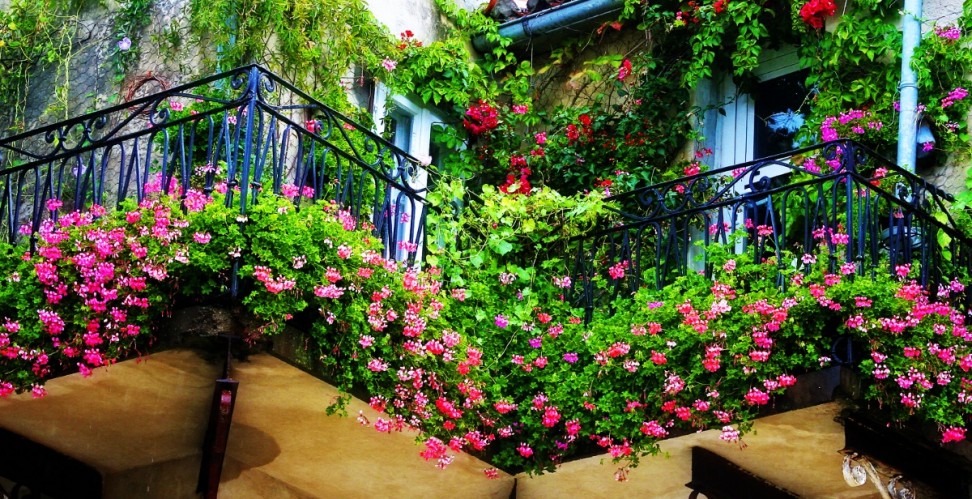 балкон в цветах