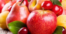 Новинки яблонь и груш