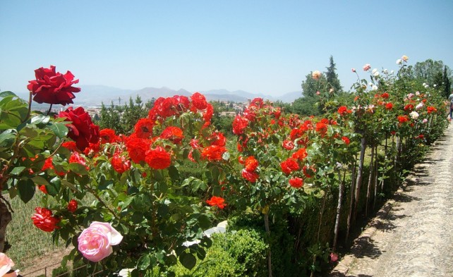 сад Альгамбры
