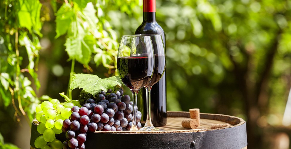 Как сделать вино из листьев винограда