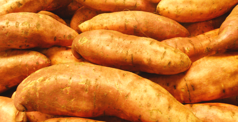 Сладкий картофель: сажать и выращивать