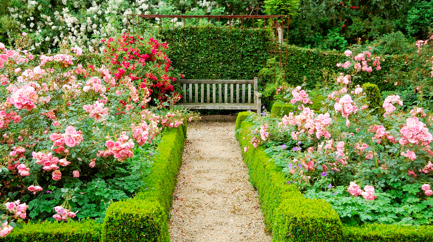 Ландшафтный дизайн тюльпанов на даче и в саду