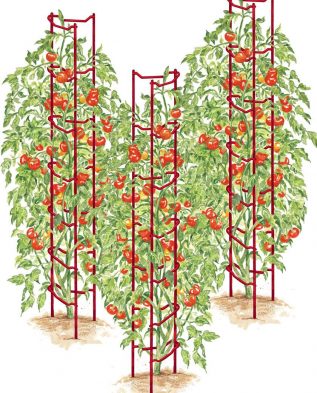 шпалеры для выращивания растений
