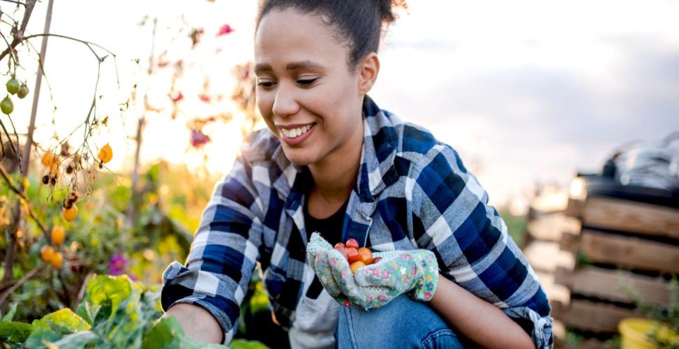 Огород - ваш путь к улучшению здоровья: 7 проверенных способов