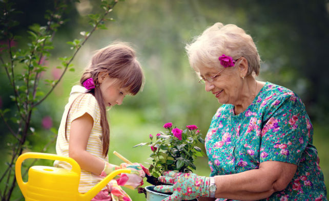 польза от сада для пожилых людей 